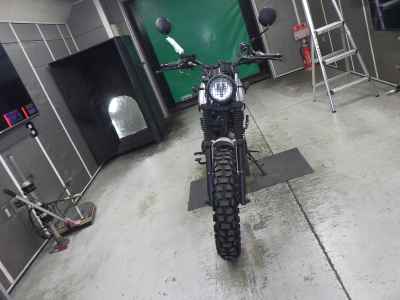 Mutt Mongrel 250 2020