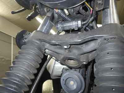 Mutt Mongrel 250 2020