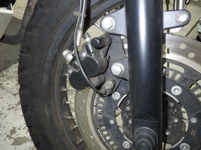 Mutt Mongrel 250 2020