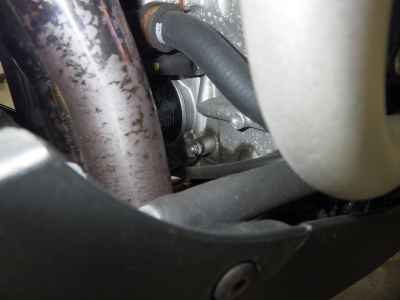 Aprilia Tuono 1000 Factory 2020