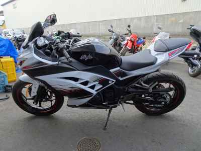 Kawasaki Ninja 250 2014
