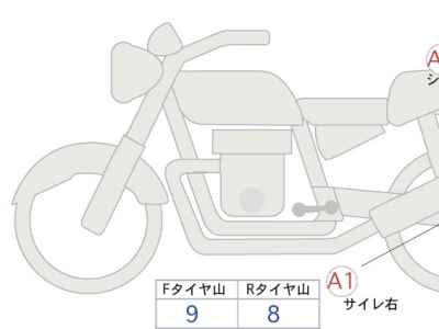 Triumph Speed Twin 900 2024