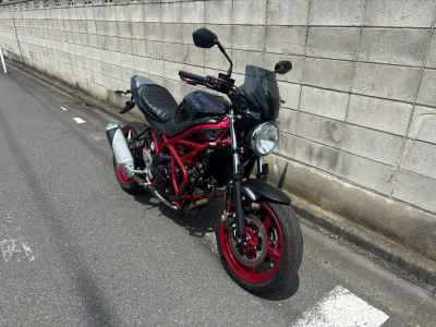 Suzuki SV650 2019