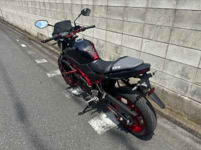 Suzuki SV650 2019