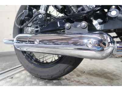 Kawasaki W800 2022