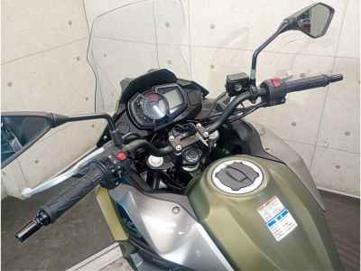 Kawasaki Versys-X 250 2018