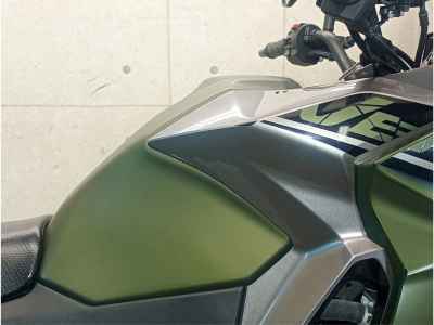Kawasaki Versys-X 250 2018
