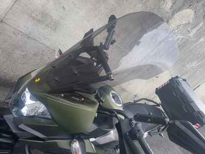 Kawasaki Versys-X 250 2018