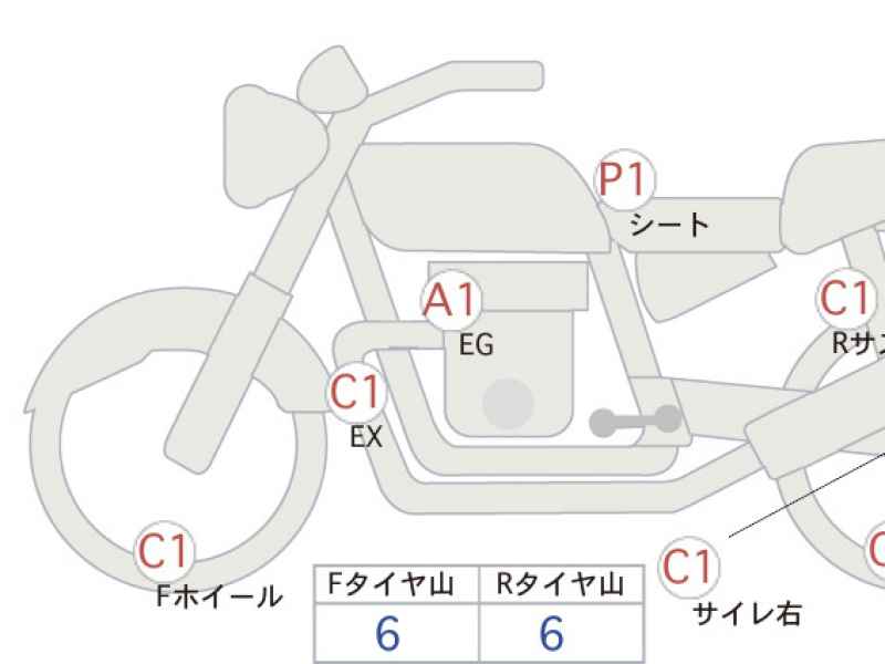 Kawasaki W800 2022