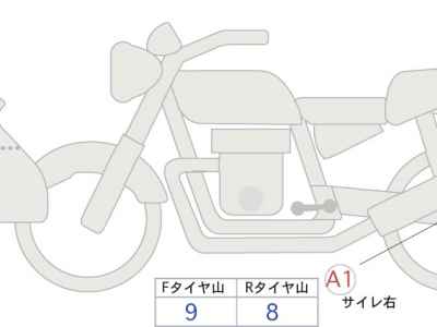 Suzuki V-Strom 250SX