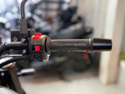 Benelli Leoncino 250 2022
