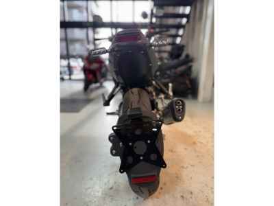 Benelli Leoncino 250 2022