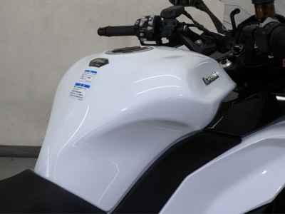 Kawasaki Ninja 1100SX 2025