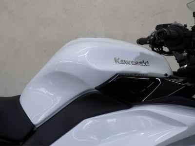 Kawasaki Ninja 1100SX 2025