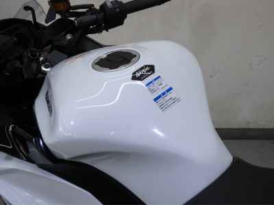 Kawasaki Ninja 1100SX 2025