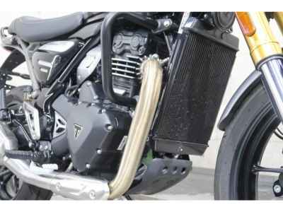 Triumph Speed 400 2025