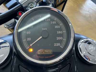 Harley-Davidson Slim FLS1580 2012