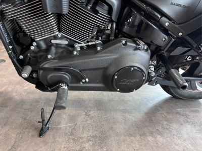 Harley-Davidson Low Rider ST FXLRST1920 2024
