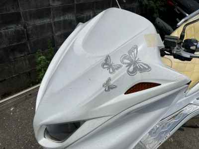 Yamaha Majesty 250C