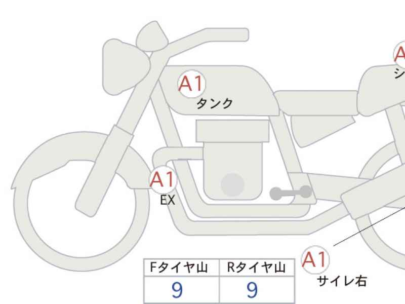 Benelli Leoncino 250 2022