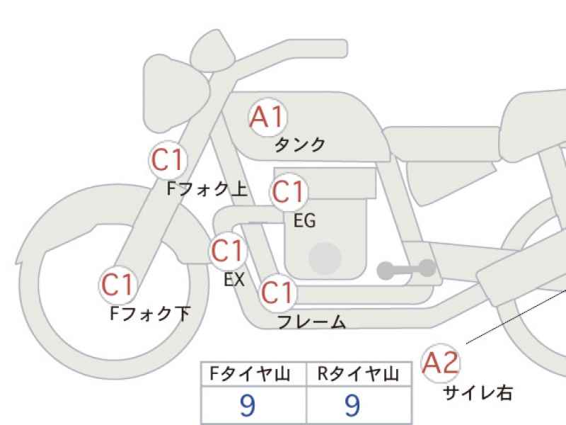 Triumph Speed Twin 900 2025