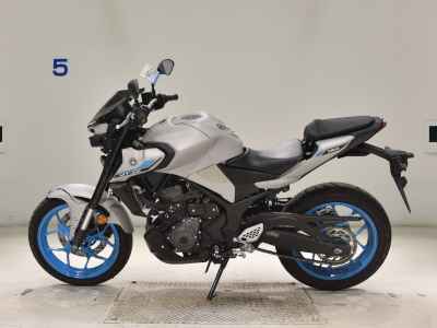 Yamaha MT-25 2025