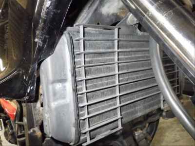 Yamaha FZ250 Fazer