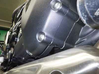 Triumph Speed 400 2024