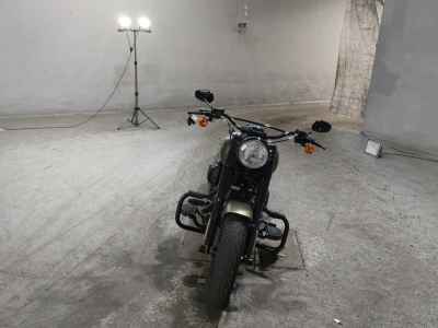 Harley-Davidson Slim S FLSS1800 2016