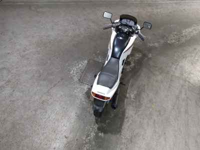 Honda VT250F Xelvis