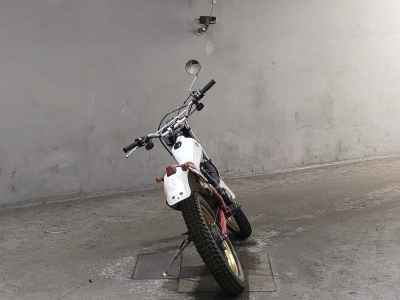 Yamaha TY250 Scottish