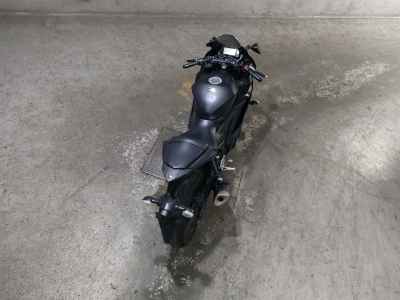 Yamaha YZF-R3 2019