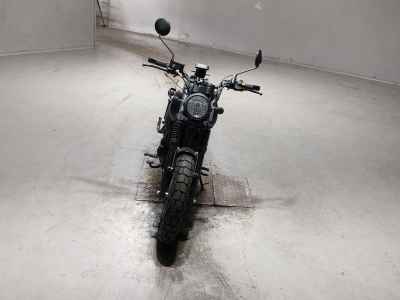 Mutt FSR250 2021