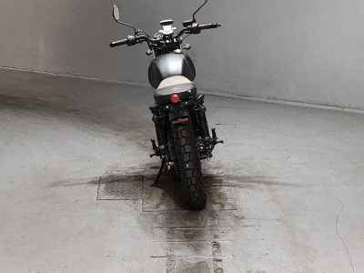 Mutt FSR250 2021