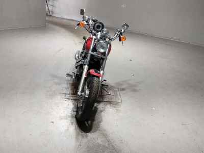 Honda Shadow 1100 2025