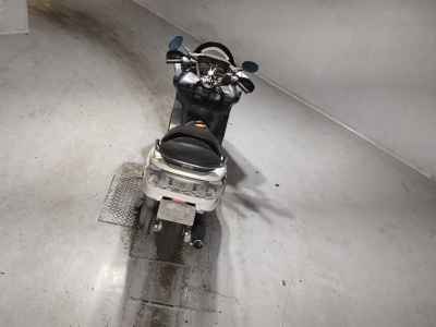 Yamaha Majesty 250C