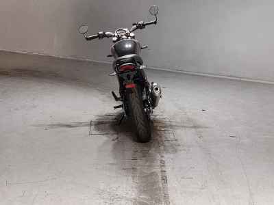 Triumph Speed 400 2024