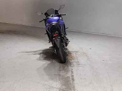 Yamaha YZF-R3 2019