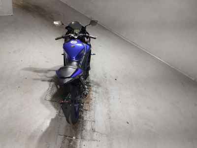 Yamaha YZF-R3 2019