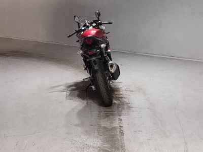 Suzuki GSX250R