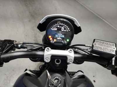 Triumph Trident 660 2024
