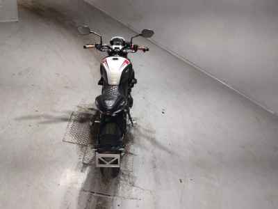 Triumph Trident 660 2024