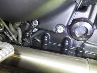 Triumph Thruxton 1200RS 2024