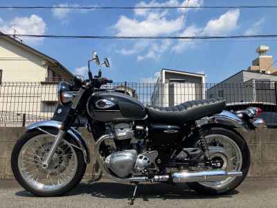 Kawasaki W800 2024