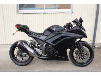 Kawasaki Ninja 250 2014