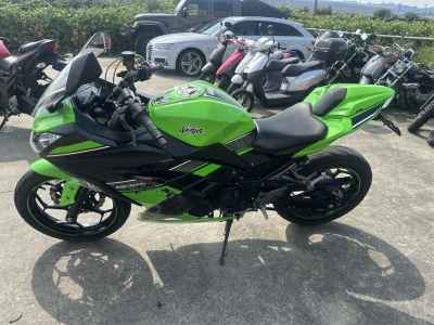 Kawasaki Ninja 250 2013