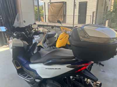 Honda Forza 2018