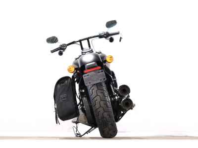 Harley-Davidson Slim FLSL1750 2020