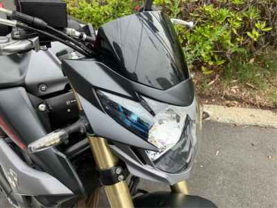 Suzuki  2013