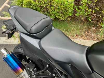 Suzuki  2013